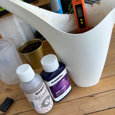 Purple Lemonade FF growlog timeline photo