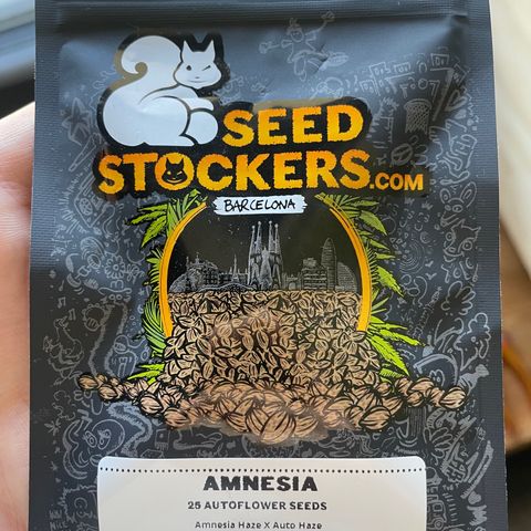 Amnesia Auto growlog timeline photo