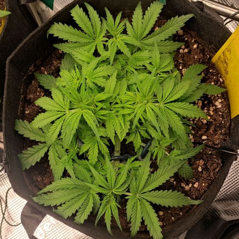6 growlog timeline photo