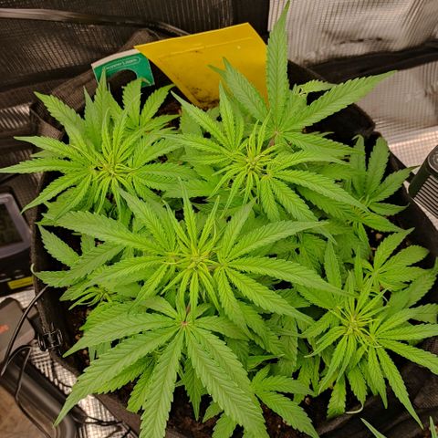 6 growlog timeline photo