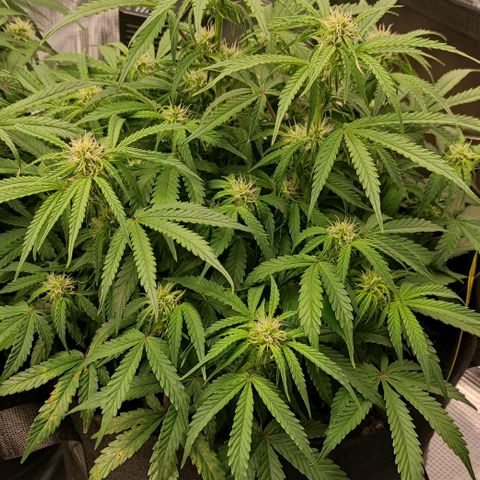 6 growlog photo: 16:00