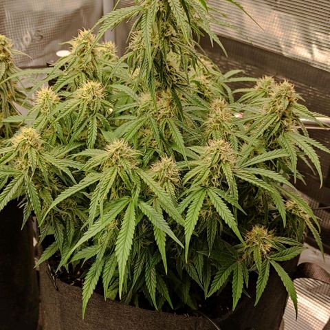 6 growlog photo: 16:00