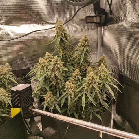 6 growlog photo: 21:30