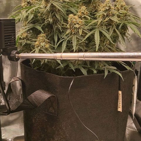 6 growlog photo: 21:30