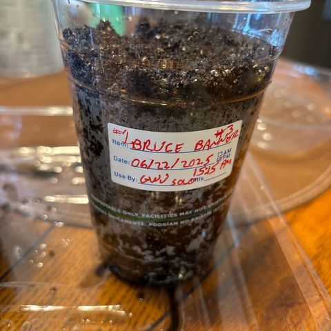 GWJ Solo Challenge  #1 growlog photo