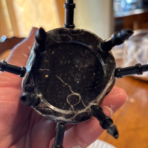 GWJ Solo Challenge  #1 growlog timeline photo