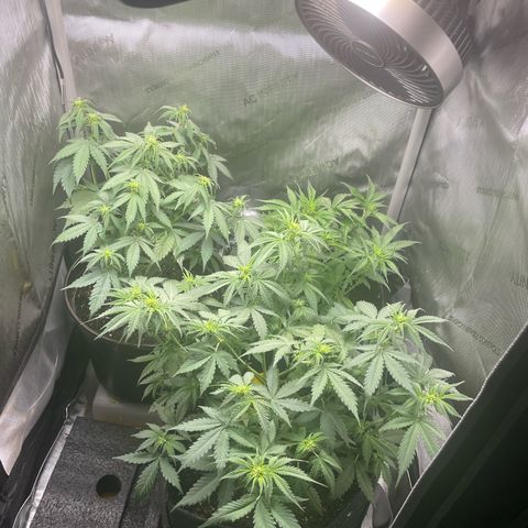 Waltraud growlog timeline photo