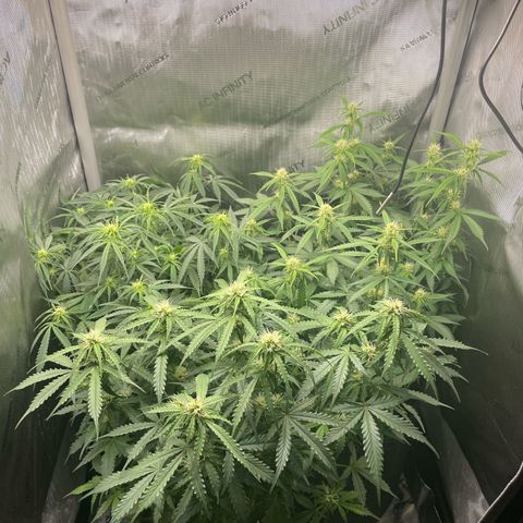 Waltraud growlog timeline photo