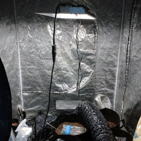 1号 growlog timeline photo
