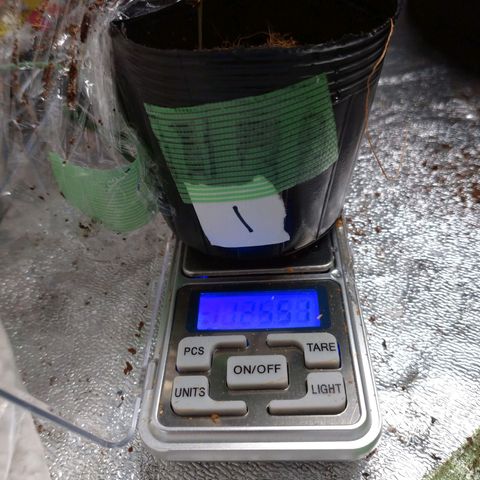 1号 growlog timeline photo