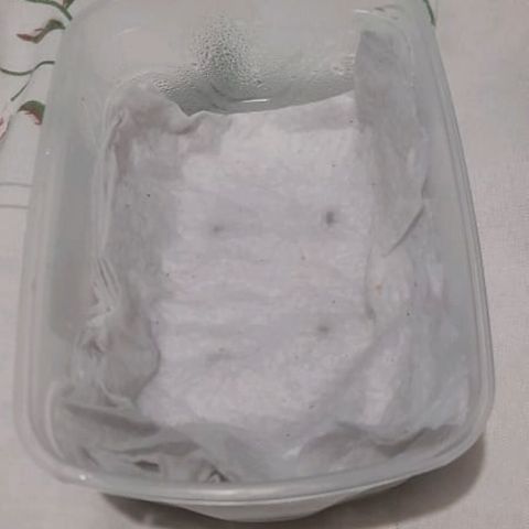 CHALUPAS CBD growlog photo: Se regó agua de botellón a la servilleta 