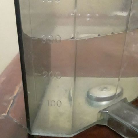 CHALUPAS CBD growlog photo: Se hizo el respectivo riego para humedecer el sustrato 