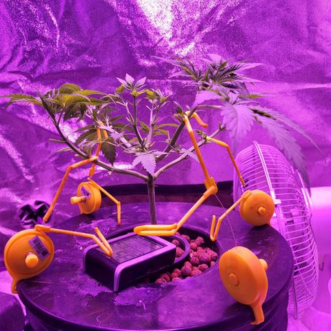 Chocolope  growlog timeline photo