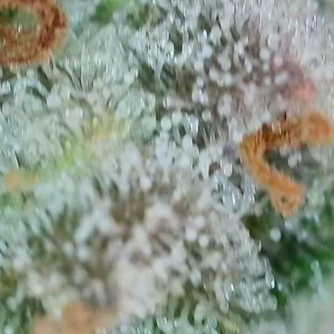 Purple lemonade & pineapple express autos from 420 fastbuds  growlog timeline photo