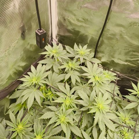 ? growlog timeline photo