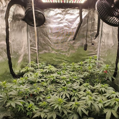 Future #1 #1 growlog timeline photo