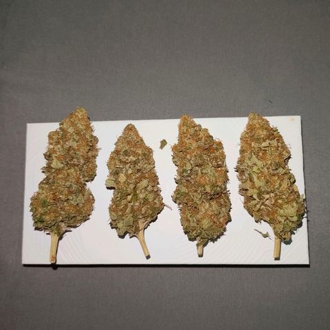 Future #1 #2 growlog timeline photo