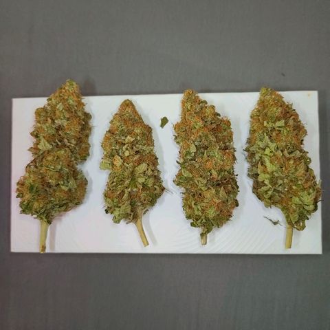 Future #1 #2 growlog timeline photo