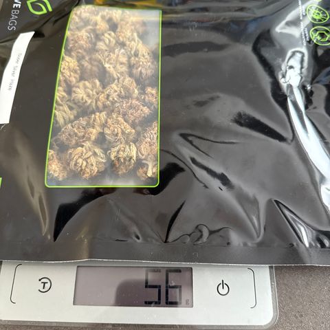 Super Silver Haze growlog timeline photo