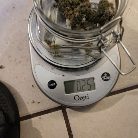 White widow  growlog timeline photo