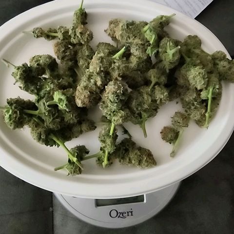 Sweet momma  growlog timeline photo