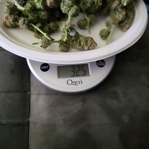Sweet momma  growlog timeline photo