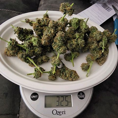 Sweet momma  growlog timeline photo
