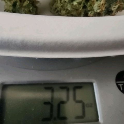 Sweet momma  growlog timeline photo