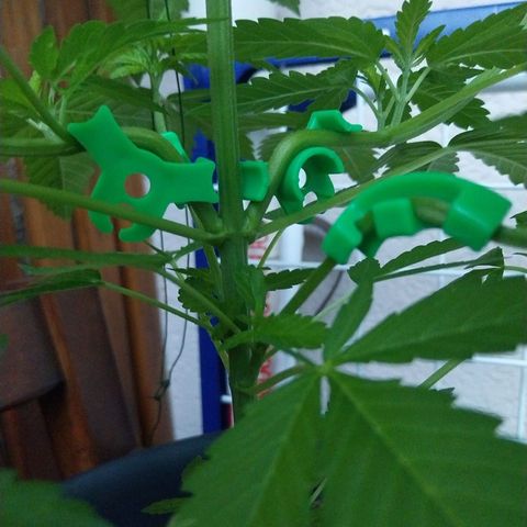Jaqueline  growlog timeline photo