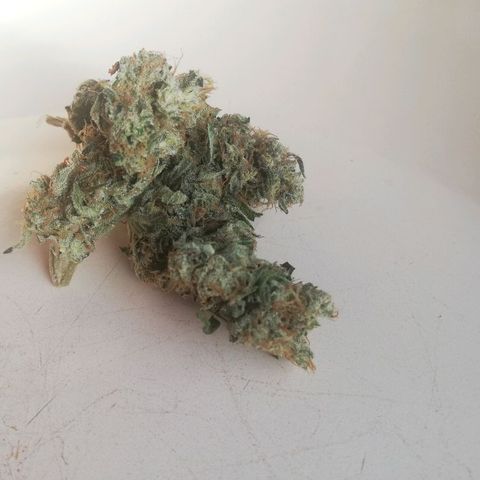 Bubba Kush growlog timeline photo