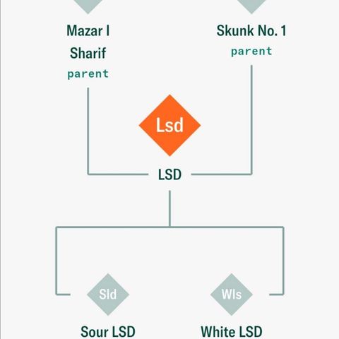 LSD #2 growlog photo: Genetic Overview