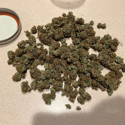 Mandarin Butter #1 growlog timeline photo