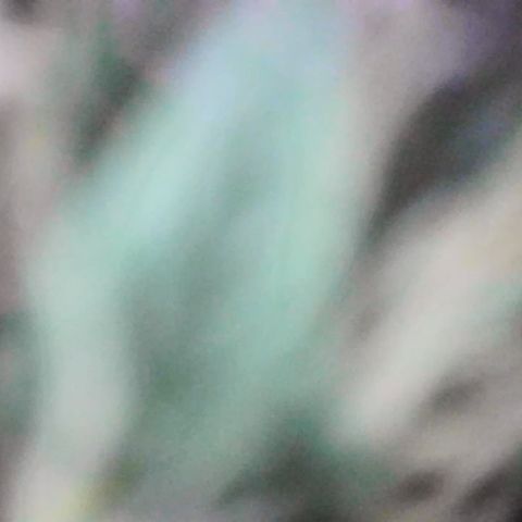 Lemon 2 growlog timeline photo