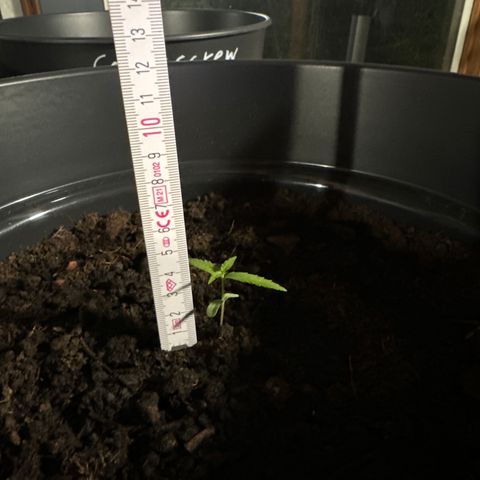 Titan f1 growlog timeline photo