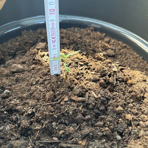 Titan f1 growlog timeline photo
