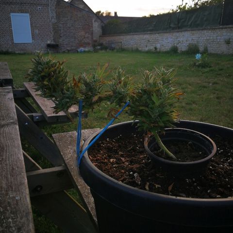 AK 47 4eme growlog timeline photo