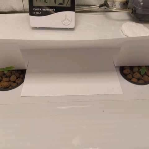 Auto Olympia growlog photo: Попытка притенить, возможно тормозит из за яркого света