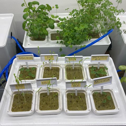 RDWC growlog timeline photo