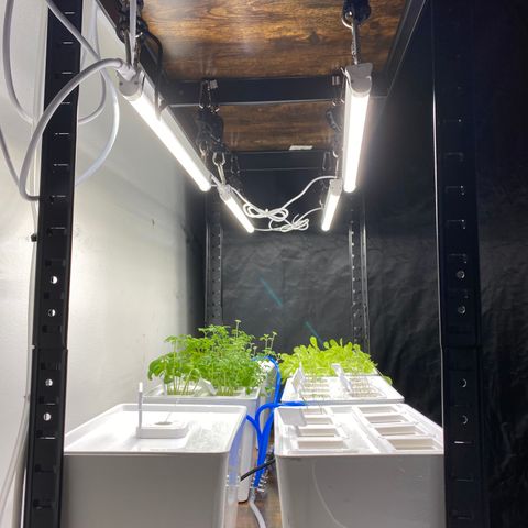 RDWC growlog timeline photo