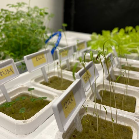 RDWC growlog timeline photo