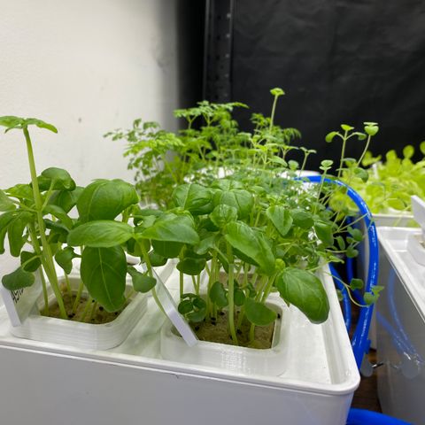 RDWC growlog timeline photo