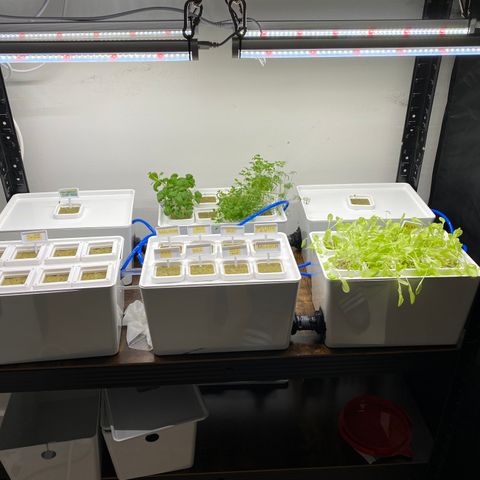 RDWC growlog timeline photo