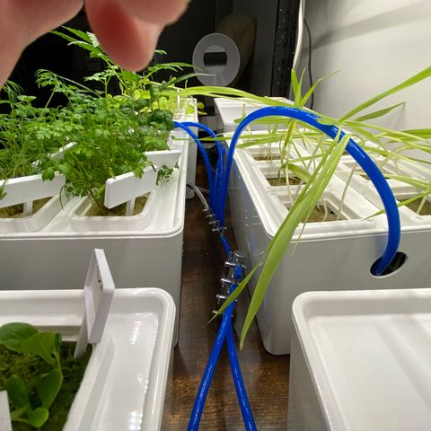 RDWC growlog photo: Ура) Запустил RDWC