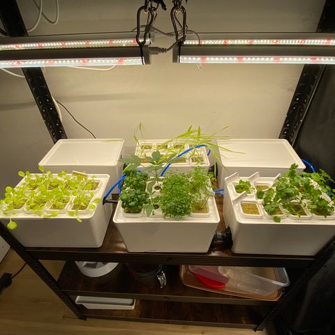 RDWC growlog photo: Ура) Запустил RDWC