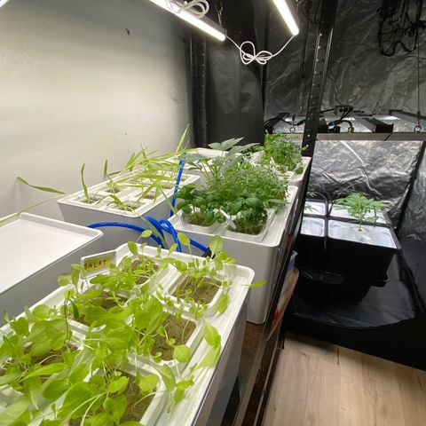 RDWC growlog photo: Ура) Запустил RDWC