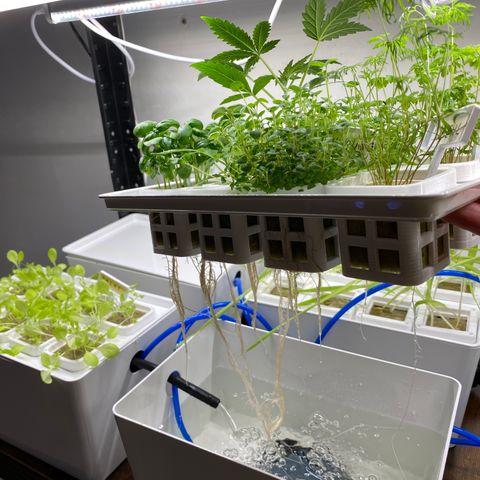 RDWC growlog photo: Ура) Запустил RDWC