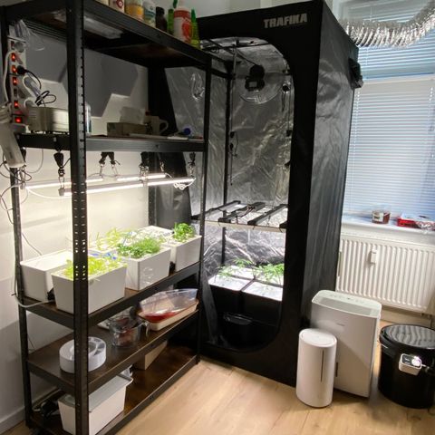 RDWC growlog photo: Ура) Запустил RDWC