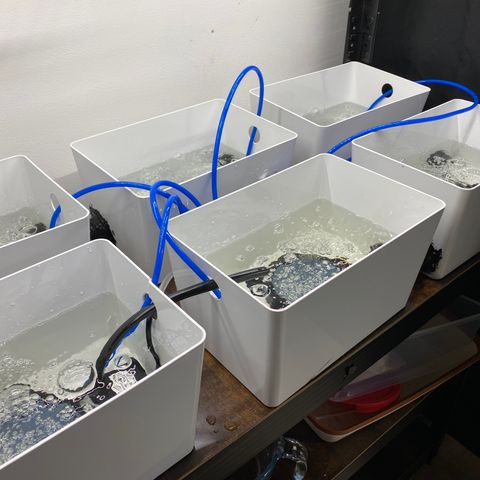 RDWC growlog photo: Соединил ящики Ikea Kuggis, засиликонил соединения