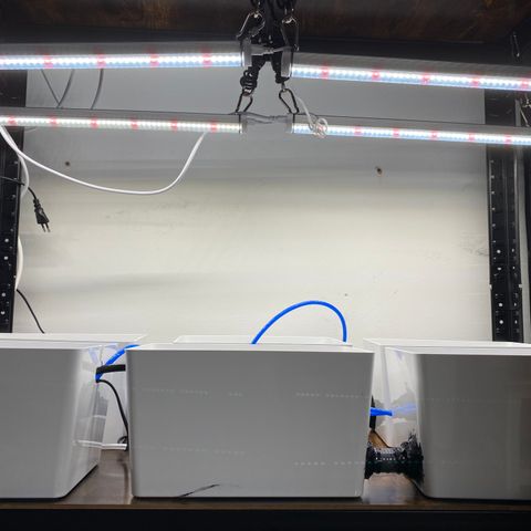 RDWC growlog photo: Соединил ящики Ikea Kuggis, засиликонил соединения