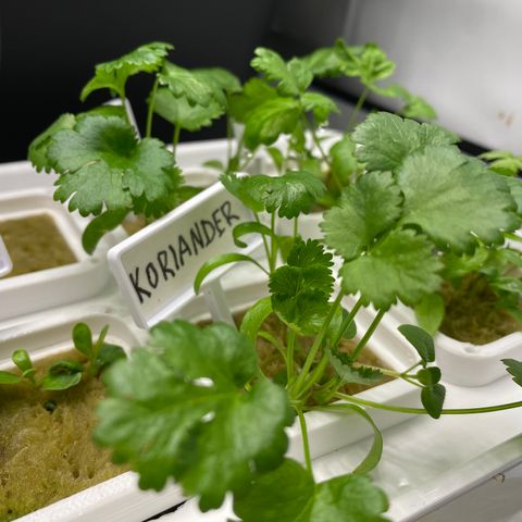 RDWC growlog timeline photo